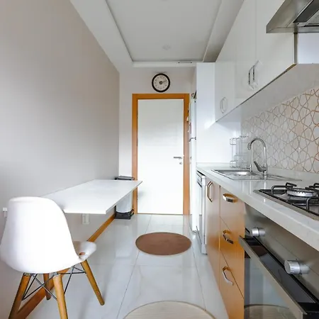 Peaceful Flat With Adalar View, Balcony And Terrace In Maltepe Apartment Istanbul